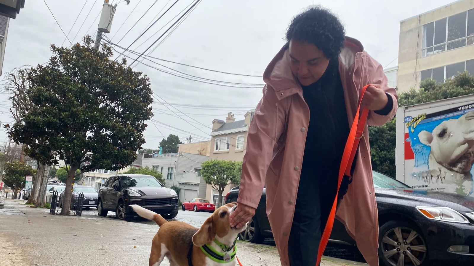 Sniff and Go walker greeting a leashed beagle on a San Francisco sidewalk