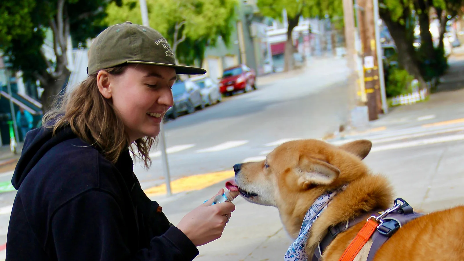 Sniff and Go walker offering a reward to a leashed dog during a private walk